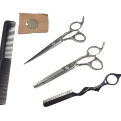 Scissor Kit - Professional 5.5" | Semi Offset