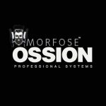 Ossion