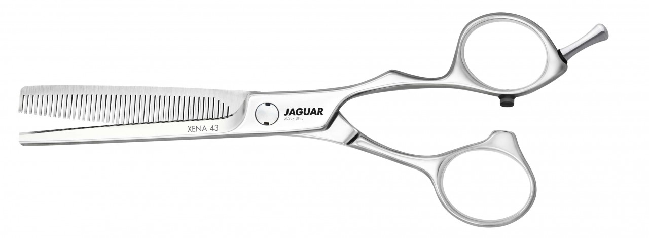 Jaguar Silver Line Xena 43 60 – Rapple